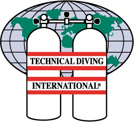 tdi_logo.jpg (58397 bytes)